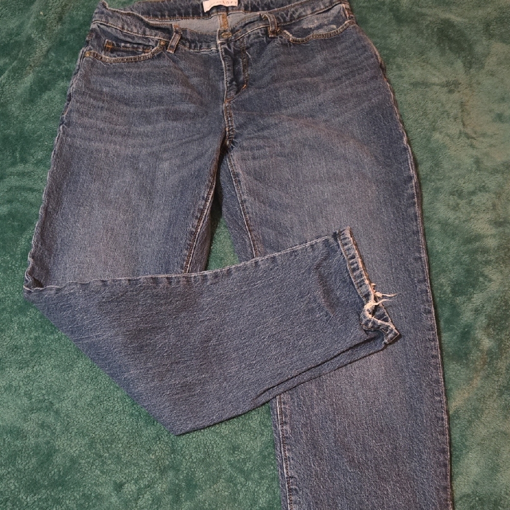 LOFT Women's Straight Leg Blue Jeans